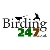 birding-247-logo