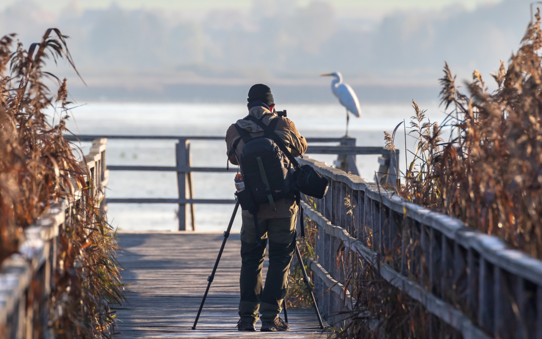 What equipment for wildlife photography?