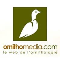 logo-ornithomedia